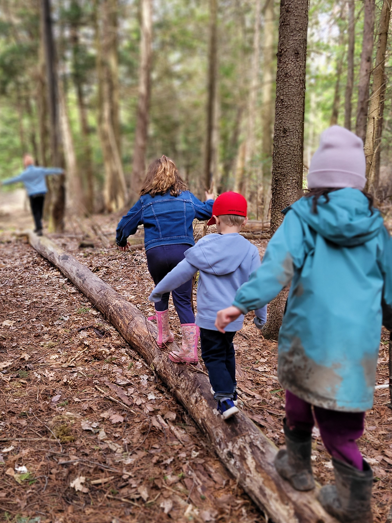 Children on a nature walk pointing at flowers